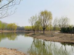 -东郊湿地公园