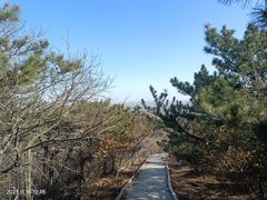 -北京西山国家森林公园