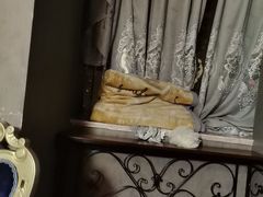 -剧狐剧本杀·月球探案馆(人民广场1号店)