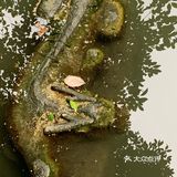 想带同事逛一下，被推荐锦里