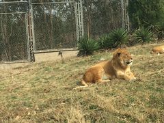 -西安秦岭野生动物园