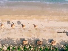 -广东茂名森林公园