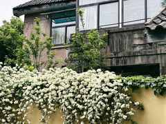 -颐和路民国时期公馆风貌区