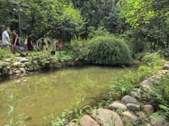 -成都市活水公园