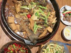 -老板恋上鱼(恒隆广场店)