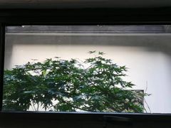 -花迹(富春江东街店)