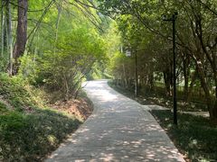 -东明山森林公园