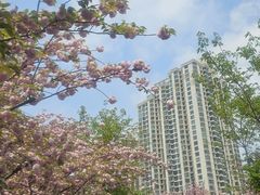 -苏州河梦清园环保主题公园