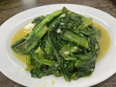 蒜蓉油麦菜-贞姨美食·老字号海鲜大排档