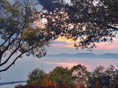 -上海市保健医疗中心