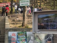 -帽儿山风景区