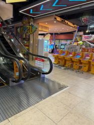 -卡通尼·Safari非洲探索乐园·生日会(金桥国际商业广场店)