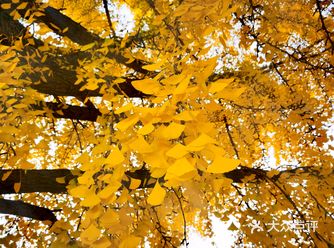 门票20一位交通：建议骑车或者地铁