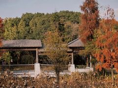 -同里国家湿地公园