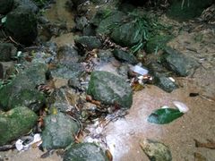 -火炉山森林公园
