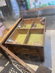 -酷嗒动物文化乐园(cutezoo西溪乐天城店)