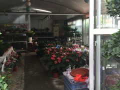 -金科花卉市场
