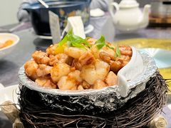 -丁老爷子苏香圆