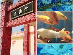 -北戴河圣蓝海洋公园