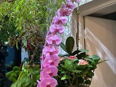 -雕刻时光咖啡馆(北师大店)