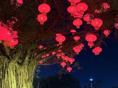 -万绿园