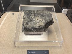 -亳州博物馆