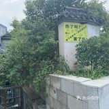 好歹毒的人生巴斯克