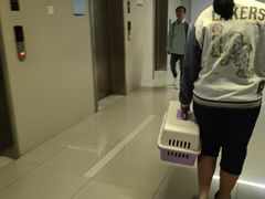 -爱洗澡的猫(望京店)