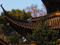 -西园戒幢律寺