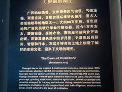 -广西壮族自治区博物馆