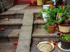-山东师范大学(千佛山校区)