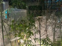 -西部一串烧烤·地道湘西小串