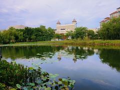 -映月湖公园