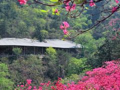 -木兰云雾山