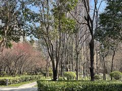 -木塔寺遗址生态公园