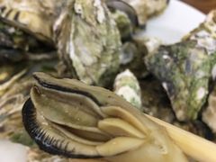 -金丝饭庄(金丝新天地保障性住宅小区店)