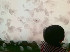 -沈阳海洋探索中心