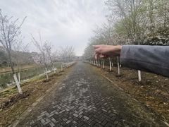 -上海海湾国家森林公园