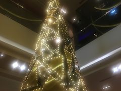 -上海波特曼丽思卡尔顿酒店