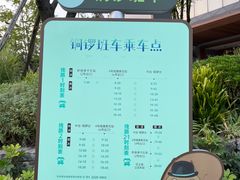 -铁山坪森林公园