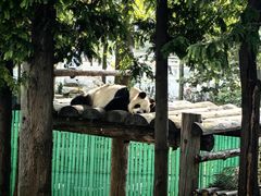 -西霞口神雕山野生动物世界