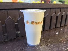 -猫的魔法密林(衣裳街店)
