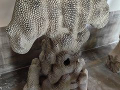 -莲池书院博物馆