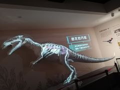 -自贡恐龙博物馆
