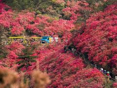 -木兰云雾山