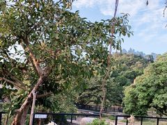 -泉州海丝野生动物世界