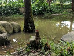 -人民公园(罗湖区)