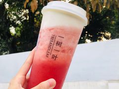 -一树一叶·福建茶档(石鼓路店)