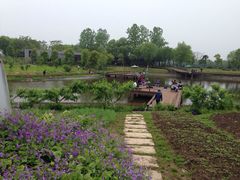 -太阳岛度假酒店