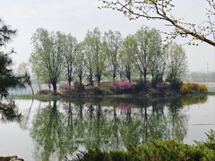 -马家湾湿地公园